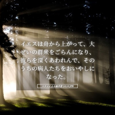 Picture 05 - マタイによる福音書 14:14 JPN - イエスは舟から上がって、大ぜいの - Bible Verse Picture