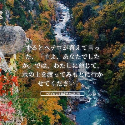 Picture 05 - マタイによる福音書 14:28 JPN - するとペテロが答えて言った、「主 - Bible Verse Picture