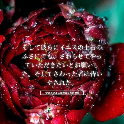 Picture 05 - マタイによる福音書 14:36 JPN - そして彼らにイエスの上着のふさに - Bible Verse Picture