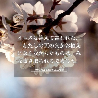 Picture 05 - マタイによる福音書 15:13 JPN - イエスは答えて言われた、「わたし - Bible Verse Picture