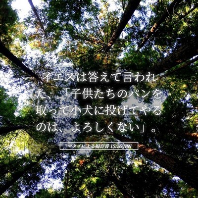 Picture 05 - マタイによる福音書 15:26 JPN - イエスは答えて言われた、「子供た - Bible Verse Picture