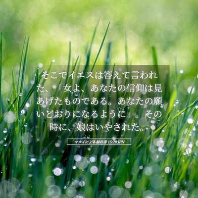 Picture 05 - マタイによる福音書 15:28 JPN - そこでイエスは答えて言われた、「 - Bible Verse Picture