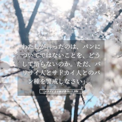 Picture 05 - マタイによる福音書 16:11 JPN - わたしが言ったのは、パンについて - Bible Verse Picture