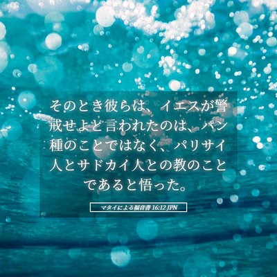 Picture 05 - マタイによる福音書 16:12 JPN - そのとき彼らは、イエスが警戒せよ - Bible Verse Picture