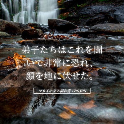 Picture 05 - マタイによる福音書 17:6 JPN - 弟子たちはこれを聞いて非常に恐れ - Bible Verse Picture