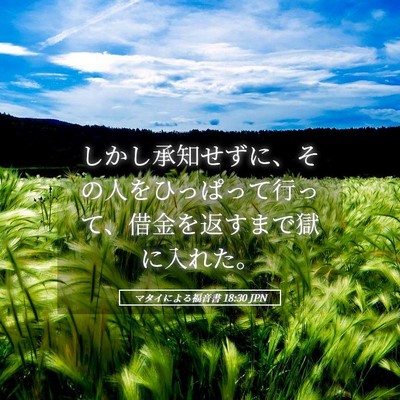 Picture 05 - マタイによる福音書 18:30 JPN - しかし承知せずに、その人をひっぱ - Bible Verse Picture