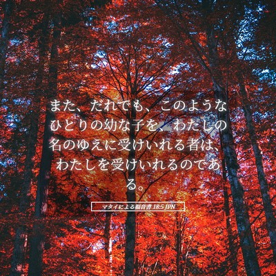 Picture 05 - マタイによる福音書 18:5 JPN - また、だれでも、このようなひとり - Bible Verse Picture