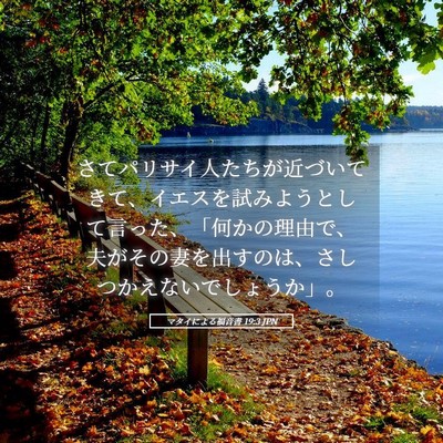 Picture 05 - マタイによる福音書 19:3 JPN - さてパリサイ人たちが近づいてきて - Bible Verse Picture