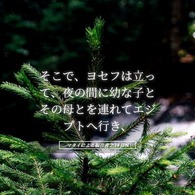 Picture 05 - マタイによる福音書 2:14 JPN - そこで、ヨセフは立って、夜の間に - Bible Verse Picture