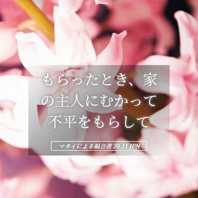 Picture 05 - マタイによる福音書 20:11 JPN - もらったとき、家の主人にむかって - Bible Verse Picture