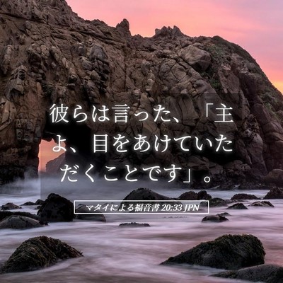 Picture 05 - マタイによる福音書 20:33 JPN - 彼らは言った、「主よ、目をあけて - Bible Verse Picture