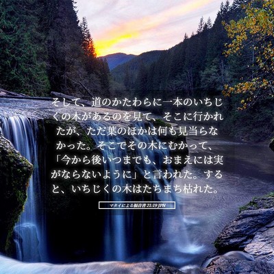 Picture 05 - マタイによる福音書 21:19 JPN - そして、道のかたわらに一本のいち - Bible Verse Picture