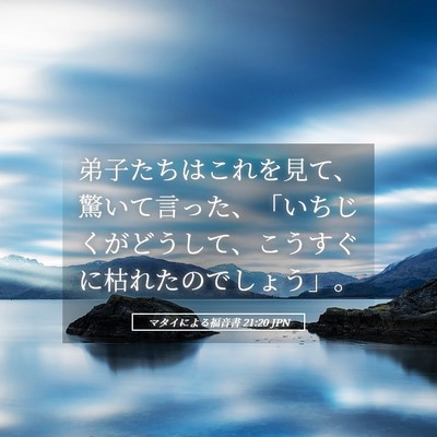 Picture 05 - マタイによる福音書 21:20 JPN - 弟子たちはこれを見て、驚いて言っ - Bible Verse Picture
