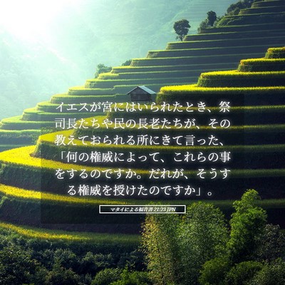 Picture 05 - マタイによる福音書 21:23 JPN - イエスが宮にはいられたとき、祭司 - Bible Verse Picture