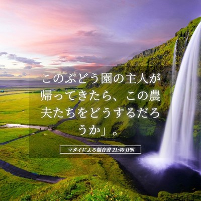 Picture 05 - マタイによる福音書 21:40 JPN - このぶどう園の主人が帰ってきたら - Bible Verse Picture