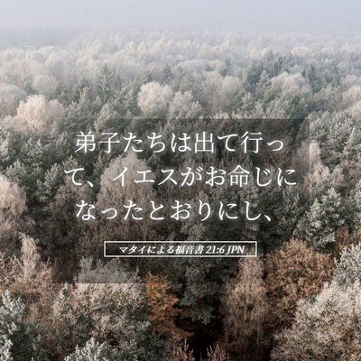 Picture 05 - マタイによる福音書 21:6 JPN - 弟子たちは出て行って、イエスがお - Bible Verse Picture