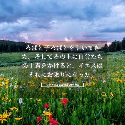 Picture 05 - マタイによる福音書 21:7 JPN - ろばと子ろばとを引いてきた。そし - Bible Verse Picture