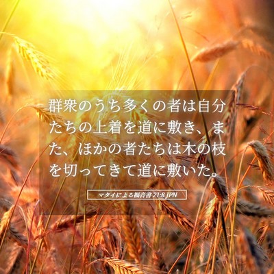 Picture 05 - マタイによる福音書 21:8 JPN - 群衆のうち多くの者は自分たちの上 - Bible Verse Picture