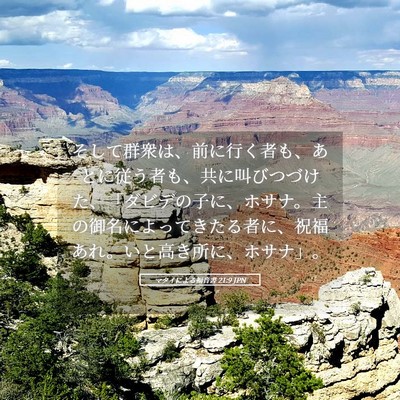Picture 05 - マタイによる福音書 21:9 JPN - そして群衆は、前に行く者も、あと - Bible Verse Picture