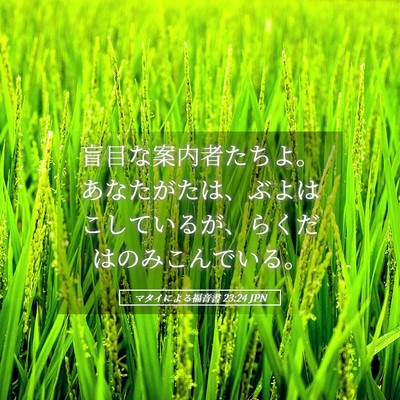 Picture 05 - マタイによる福音書 23:24 JPN - 盲目な案内者たちよ。あなたがたは - Bible Verse Picture
