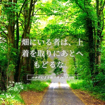 Picture 05 - マタイによる福音書 24:18 JPN - 畑にいる者は、上着を取りにあとへ - Bible Verse Picture