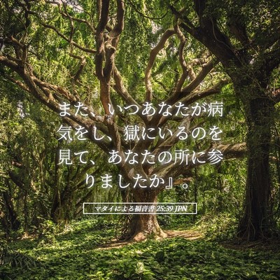 Picture 05 - マタイによる福音書 25:39 JPN - また、いつあなたが病気をし、獄に - Bible Verse Picture