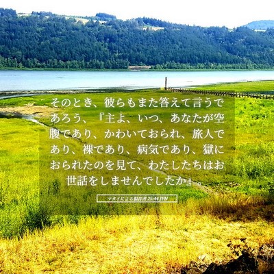 Picture 05 - マタイによる福音書 25:44 JPN - そのとき、彼らもまた答えて言うで - Bible Verse Picture