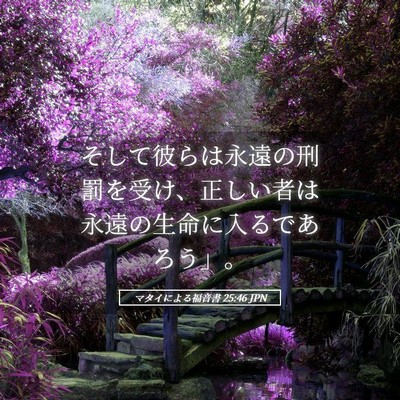 Picture 05 - マタイによる福音書 25:46 JPN - そして彼らは永遠の刑罰を受け、正 - Bible Verse Picture