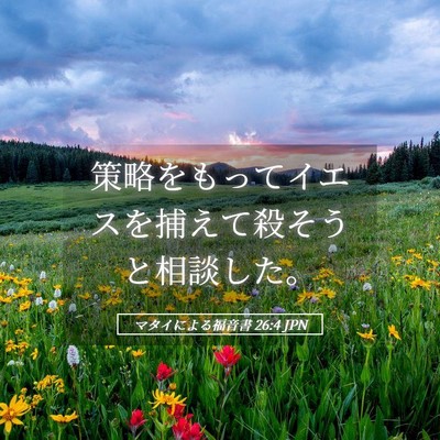 Picture 05 - マタイによる福音書 26:4 JPN - 策略をもってイエスを捕えて殺そう - Bible Verse Picture