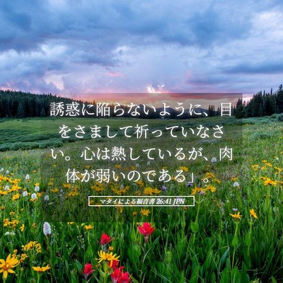 Picture 05 - マタイによる福音書 26:41 JPN - 誘惑に陥らないように、目をさまし - Bible Verse Picture