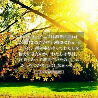 Picture 05 - マタイによる福音書 26:55 JPN - そのとき、イエスは群衆に言われた - Bible Verse Picture
