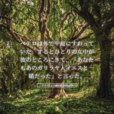 Picture 05 - マタイによる福音書 26:69 JPN - ペテロは外で中庭にすわっていた。 - Bible Verse Picture