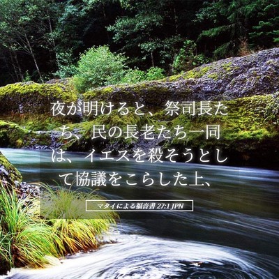 Picture 05 - マタイによる福音書 27:1 JPN - 夜が明けると、祭司長たち、民の長 - Bible Verse Picture