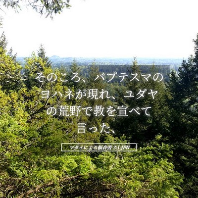 Picture 05 - マタイによる福音書 3:1 JPN - そのころ、バプテスマのヨハネが現 - Bible Verse Picture