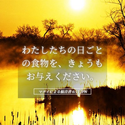 Picture 05 - マタイによる福音書 6:11 JPN - わたしたちの日ごとの食物を、きょ - Bible Verse Picture