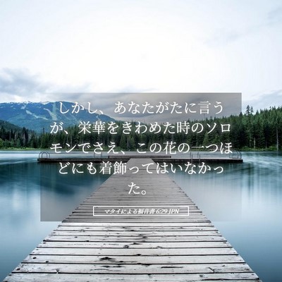 Picture 05 - マタイによる福音書 6:29 JPN - しかし、あなたがたに言うが、栄華 - Bible Verse Picture