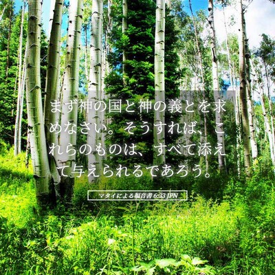 Picture 05 - マタイによる福音書 6:33 JPN - まず神の国と神の義とを求めなさい - Bible Verse Picture