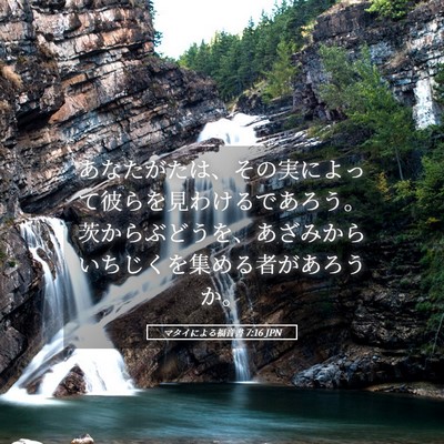 Picture 05 - マタイによる福音書 7:16 JPN - あなたがたは、その実によって彼ら - Bible Verse Picture