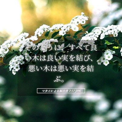 Picture 05 - マタイによる福音書 7:17 JPN - そのように、すべて良い木は良い実 - Bible Verse Picture