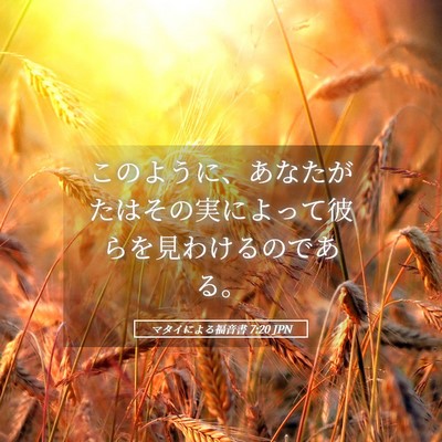 Picture 05 - マタイによる福音書 7:20 JPN - このように、あなたがたはその実に - Bible Verse Picture