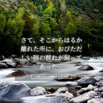 Picture 05 - マタイによる福音書 8:30 JPN - さて、そこからはるか離れた所に、 - Bible Verse Picture