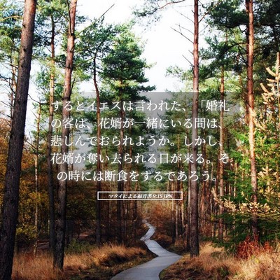 Picture 05 - マタイによる福音書 9:15 JPN - するとイエスは言われた、「婚礼の - Bible Verse Picture