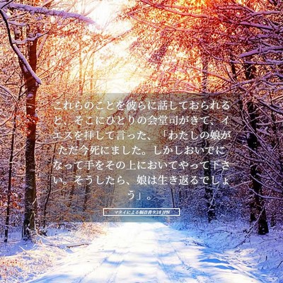 Picture 05 - マタイによる福音書 9:18 JPN - これらのことを彼らに話しておられ - Bible Verse Picture