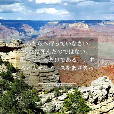 Picture 05 - マタイによる福音書 9:24 JPN - 「あちらへ行っていなさい。少女は - Bible Verse Picture