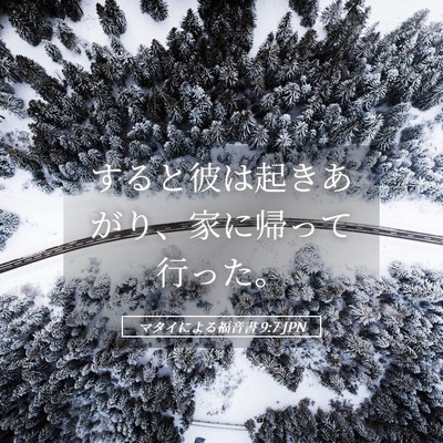 Picture 05 - マタイによる福音書 9:7 JPN - すると彼は起きあがり、家に帰って - Bible Verse Picture