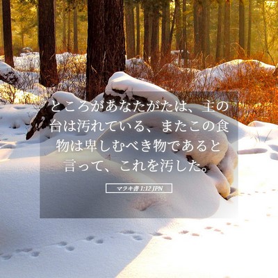 Picture 05 - マラキ書 1:12 JPN - ところがあなたがたは、主の台は汚 - Bible Verse Picture