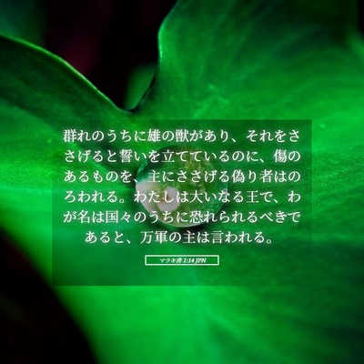 Picture 05 - マラキ書 1:14 JPN - 群れのうちに雄の獣があり、それを - Bible Verse Picture