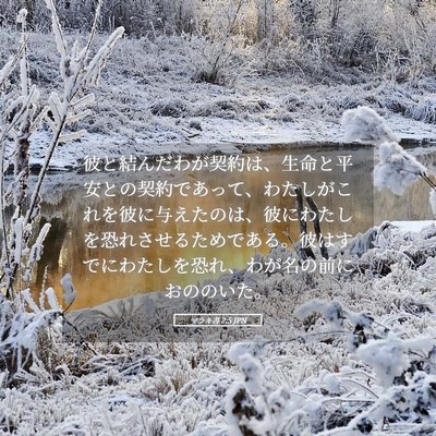 Picture 05 - マラキ書 2:5 JPN - 彼と結んだわが契約は、生命と平安 - Bible Verse Picture