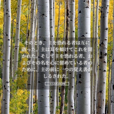 Picture 05 - マラキ書 3:16 JPN - そのとき、主を恐れる者は互に語っ - Bible Verse Picture