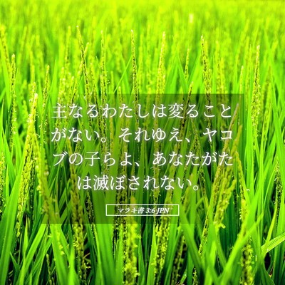 Picture 05 - マラキ書 3:6 JPN - 主なるわたしは変ることがない。そ - Bible Verse Picture